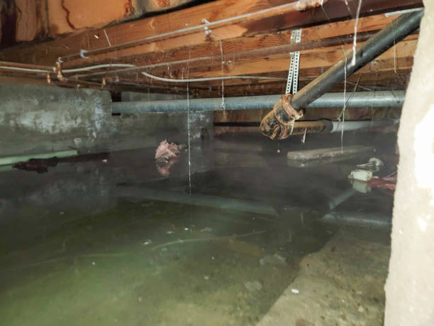 Best 24/7 water damage repair  in Kalispell, MT