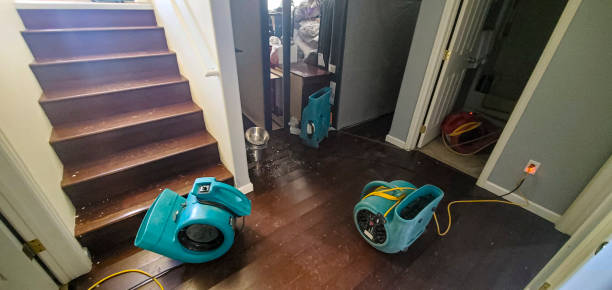 Best Water damage restoration insurance claims  in Kalispell, MT