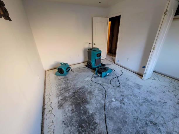 Best Water damage restoration near me  in Kalispell, MT